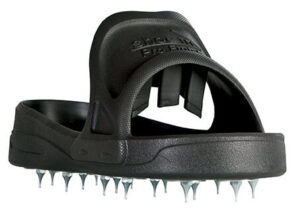 Shoe In Spiked Shoes