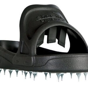 Shoe In Spiked Shoes