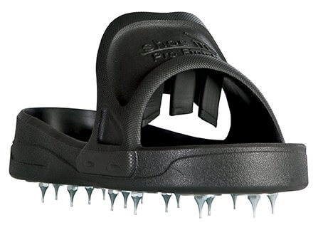 Shoe In Spiked Shoes